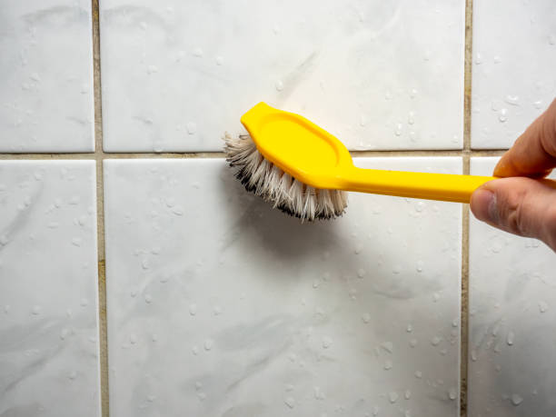 Best Affordable Mold Removal  in Laughlin Af, TX