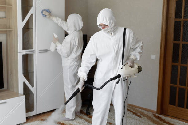 Best Residential Mold Removal  in Laughlin Af, TX