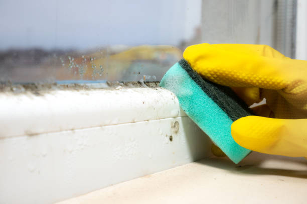 Best Crawl Space Mold Removal  in Laughlin Af, TX