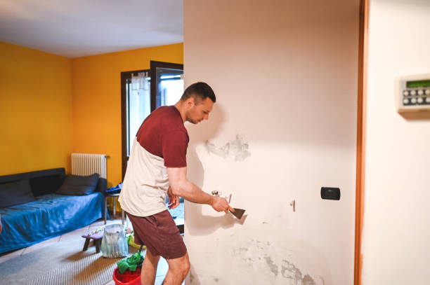 Best Fast Mold Removal  in Laughlin Af, TX