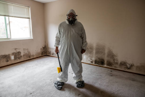 Best Professional Mold Removal  in Laughlin Af, TX