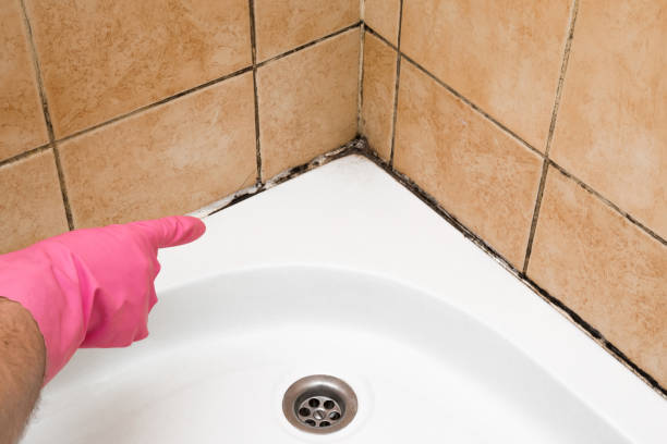 Best Mold Removal Company Near Me  in Laughlin Af, TX